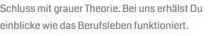Schluss mit grauer Theorie. Bei uns erhälst Du einblicke wie das Berufsleben funktioniert.